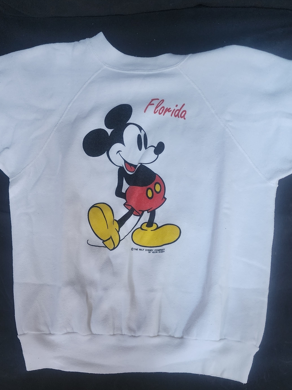 Disney Mickey Mouse White Kids Sweatshirt - Florida